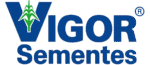 vigorsementes.com.br